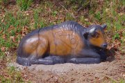 01_bison_klein